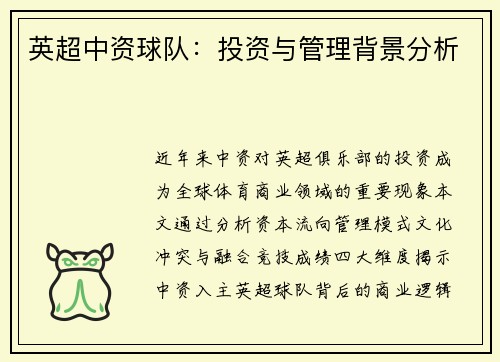 英超中资球队：投资与管理背景分析